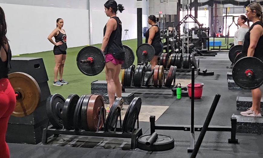 Image 1: 4 or 8 Adult Athletic Group Workout with Intense Training Options 