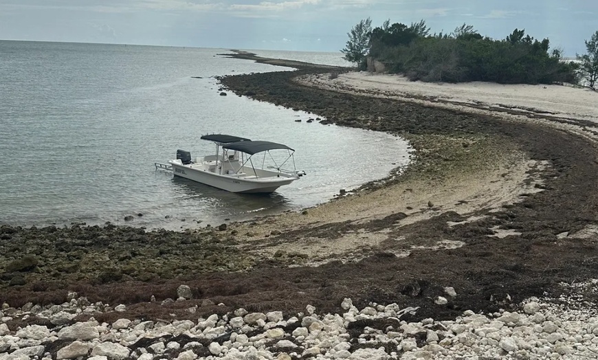 Image 5: Guided Manatee Tour w/ All Gear, Mask, Suit & In-Water Equipments