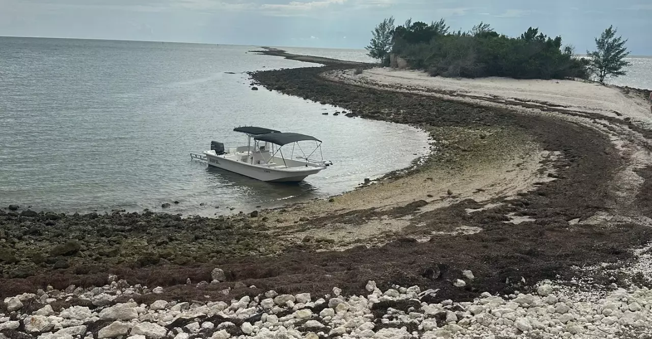 Guided Manatee Tour w/ All Gear, Mask, Suit & In-Water Equipments