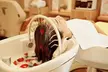 60/90-min Signature Head Spa w/Add-ons /60-min Aromatherapy Massage at KINAYI SKINCARE AND BEAUTY(Up to 55% Off) - Second Medium