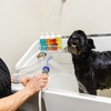 Image 2: Up to 31% Off on Pet Grooming at Pet Pantry and Dog Wash