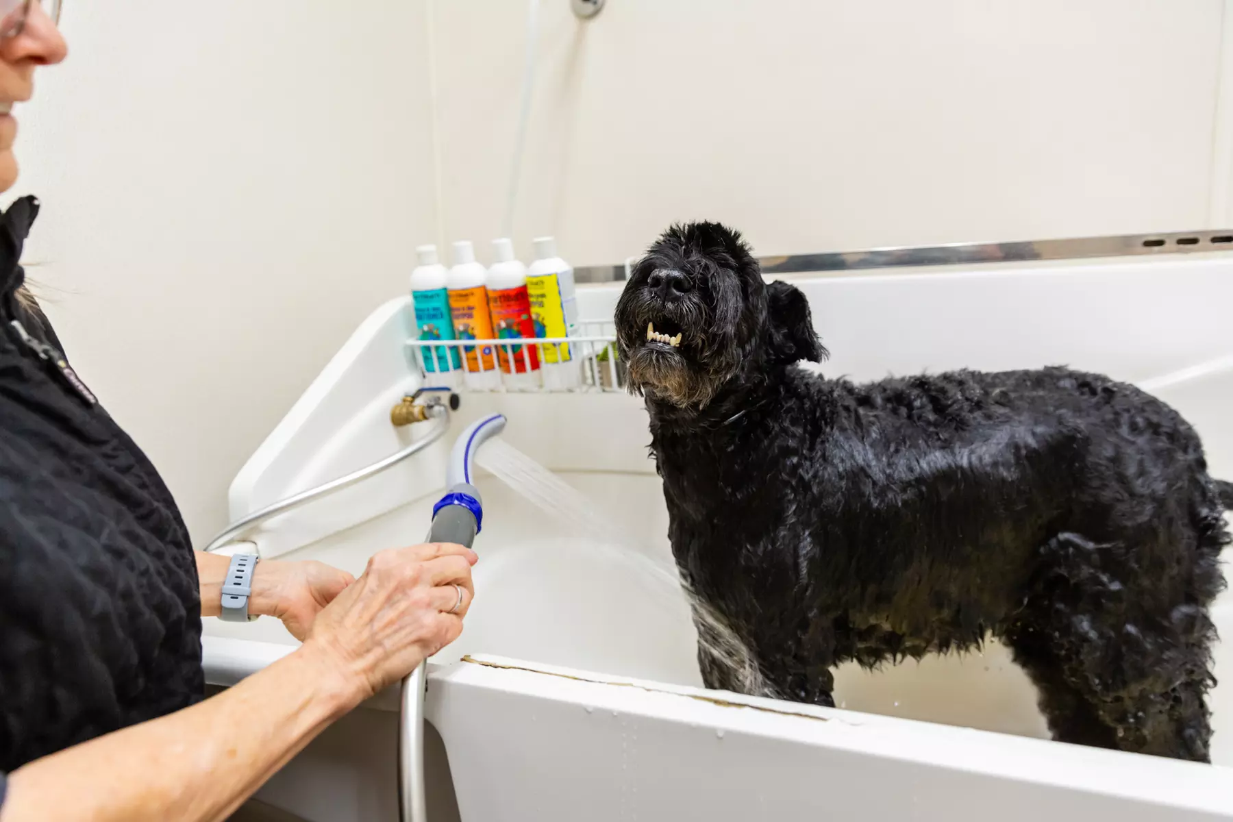 Up to 31% Off on Pet Grooming at Pet Pantry and Dog Wash