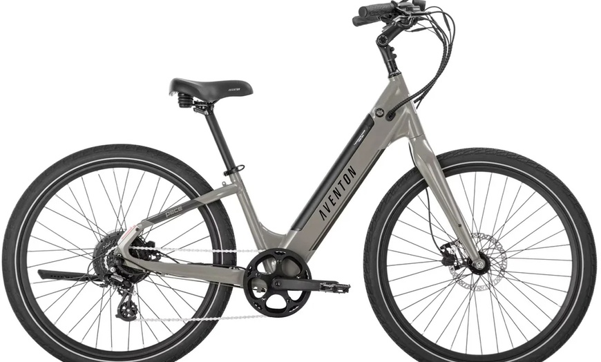 Image 4: Kids or Adult Full Day 8-Hour E-Bike Rental w/ Optional Child Carrier