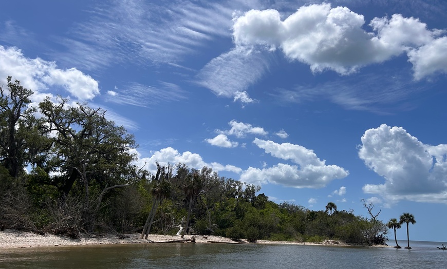 Image 3: Private Boat Excursions & Sandbar Escapes in Florida's Waterways
