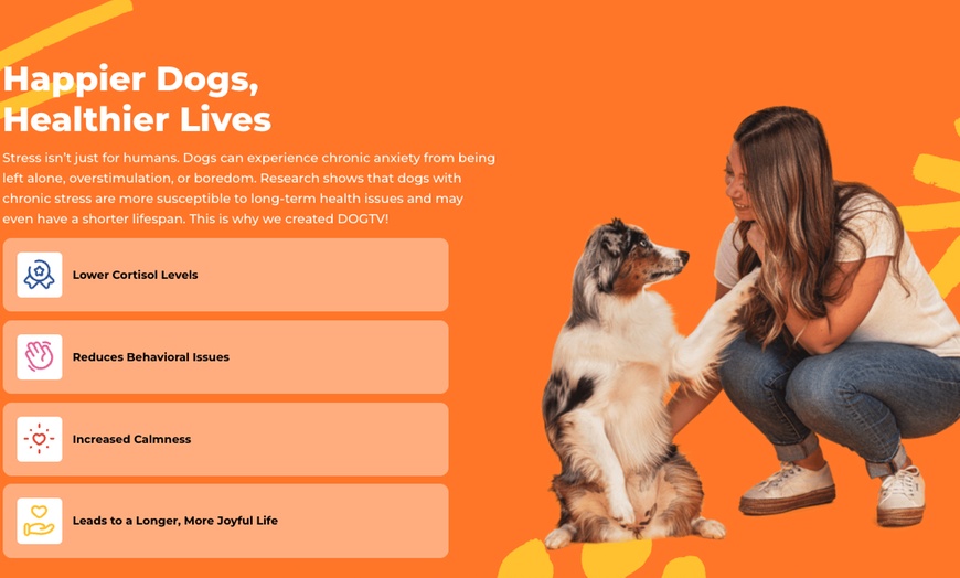 Image 8: Stream DOGTV for a Year or Enjoy a Free Month