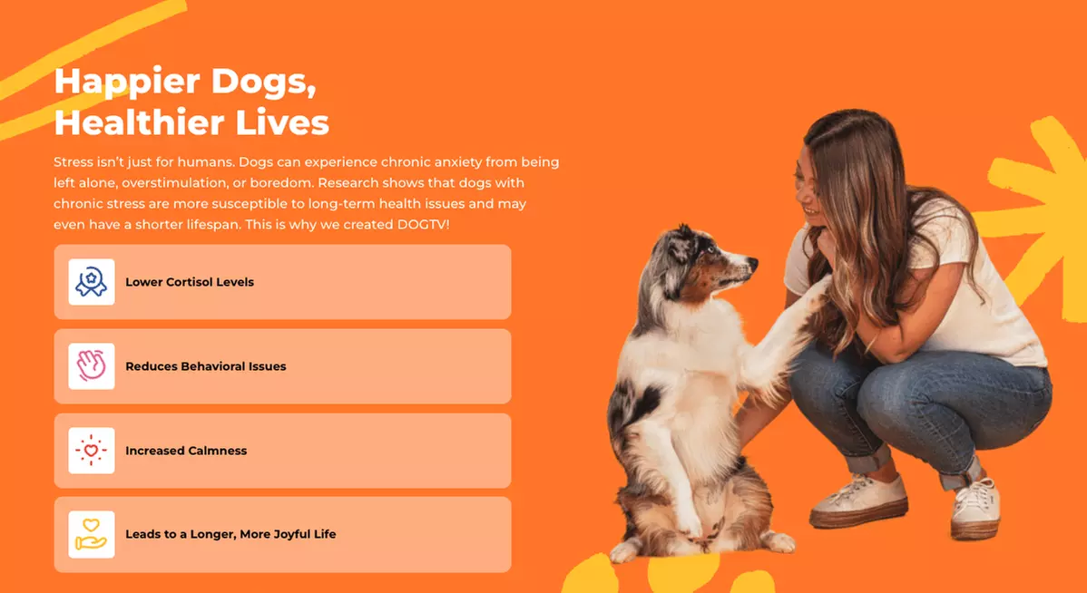 Stream DOGTV for a Year or Enjoy a Free Month