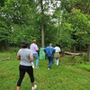 Image 3: Explore the Outdoors: Park ranger-Led Hike & Birdwatching