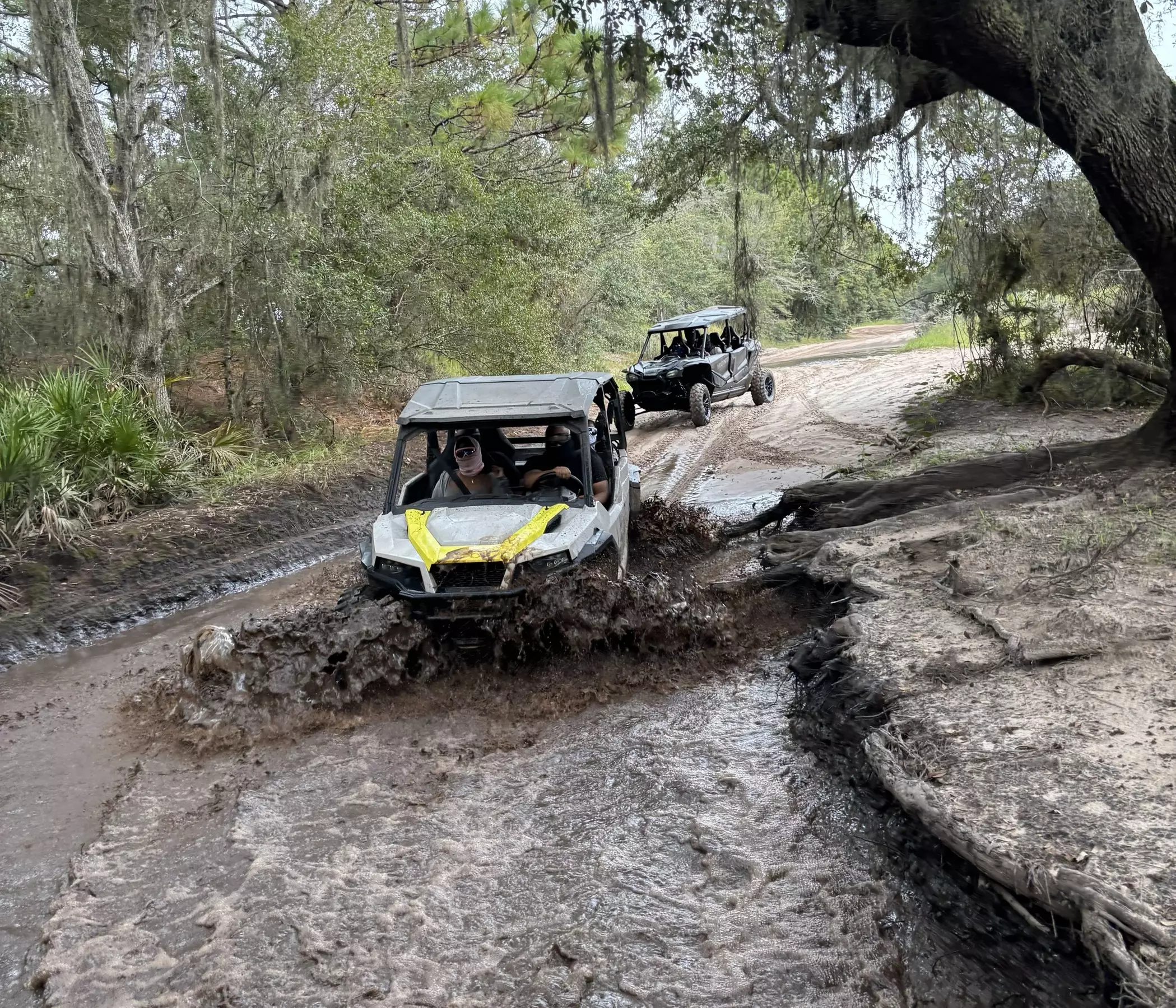 Unleash Adventure: Explore Central Florida's Wild Side with UTV Off-Road Rentals - Primary Image