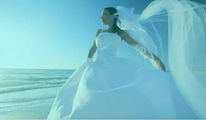 New England Bridal Affair: Choose VIP or Wine Tasting Admission for Your Dream Wedding Expo Experience - Primary Image