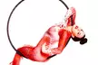 One Aerial Yoga, Intro to Aerial Silks, Aerial Hoop, or Contortion/Flexibility for Dancers Class (Up to 32% Off) - Second Medium