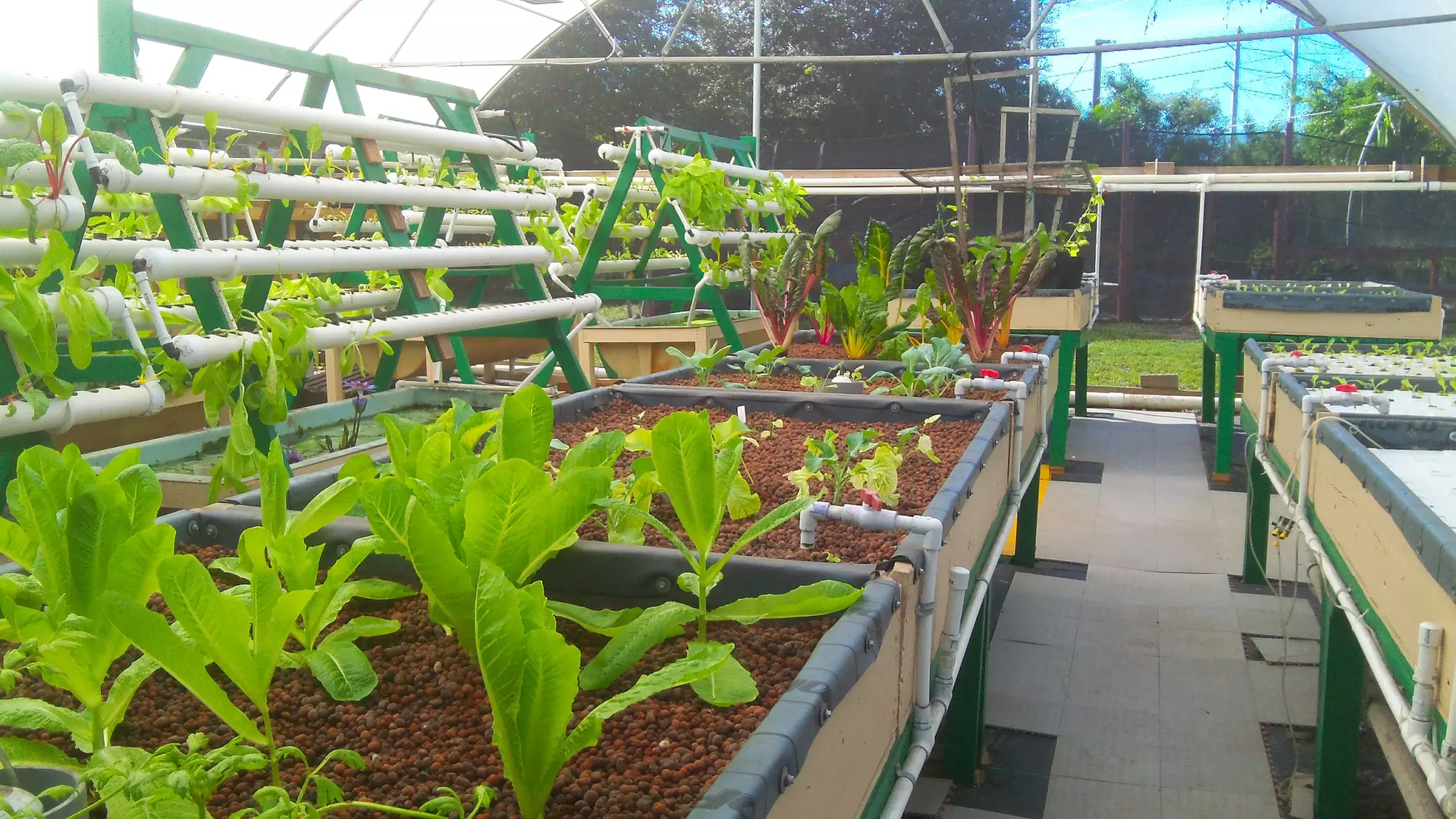 Hands‑On Urban Farm & Aquaponics Tour + Educational Laboratory: Small to Large Groups  (Up to 27% Off) - Primary Image