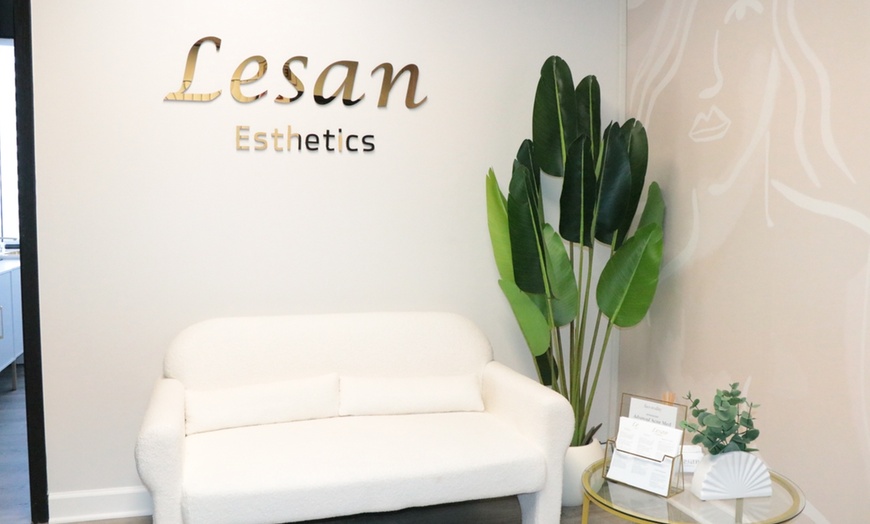 Image 1: Up to 40% Off on Waxing - Brazilian at LESAN Esthetics