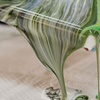 Image 4: Unleash Creativity: Guided Fluid Art Experiences for Children Ages 2+