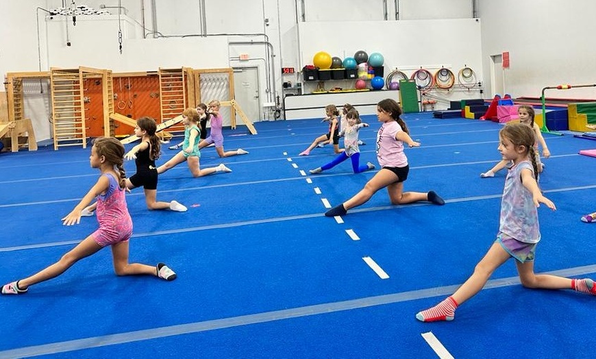 Image 8: Join Beginner Gymnastics Classes for Kids and Toddlers