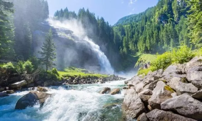 Rabatt auf Berater – Therapeut – Online bei Naturheilpraxis Osiander