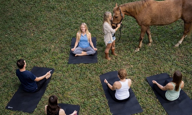 What to expect media