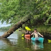 Image 3: Long Kayaking Adventure Through Island Channels 