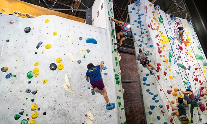 What to expect media