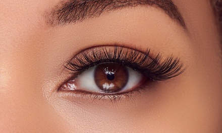 One Full Set of Soft & Natural Lash Clusters + Application - Tracey B. Esthetics