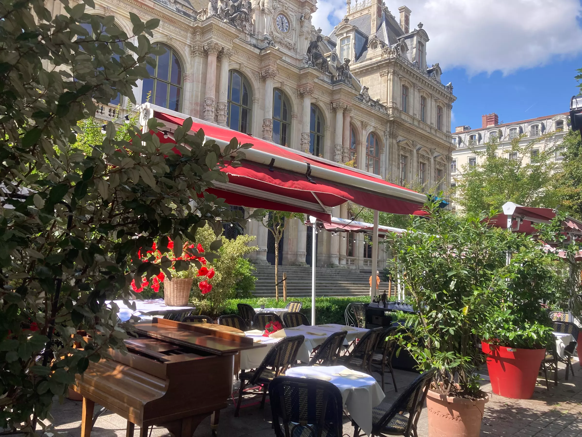 Menu découverte avec entrée, plat et dessert chez Le Cintra