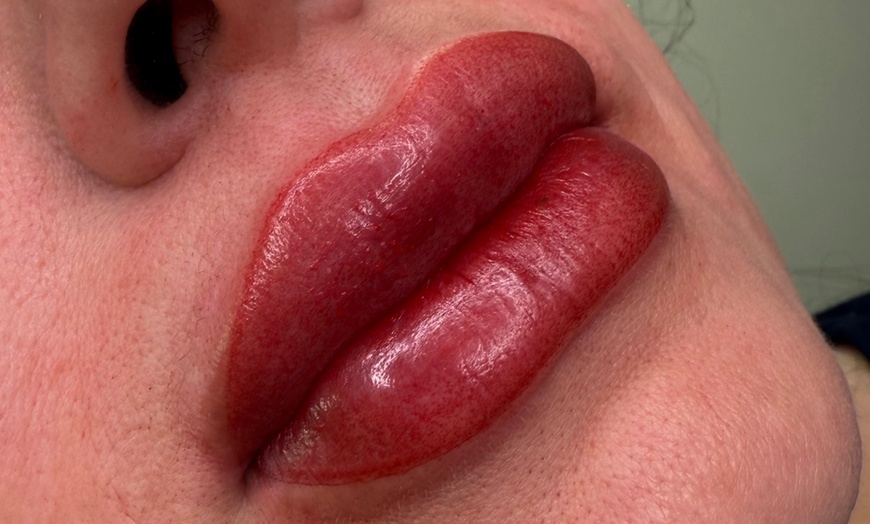 Image 3: Permanent Makeup for Brows and Lips
