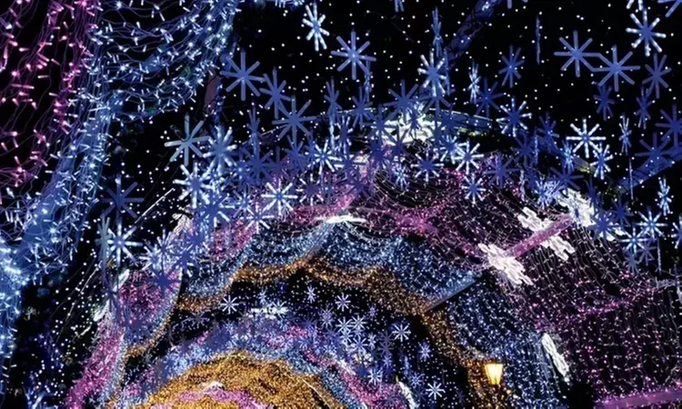 Take Your Loved Ones for a Magical Illuminated Holiday Drive-Through