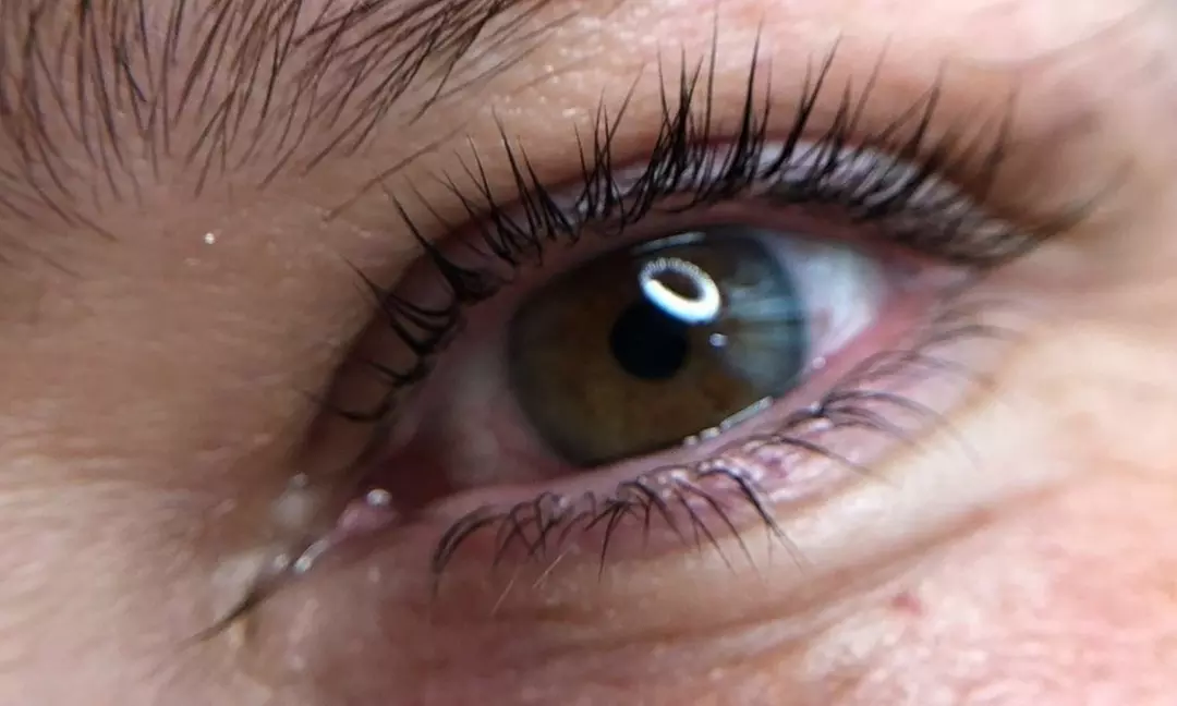 Unlock the Magic of Lifted and Extended Lashes at Fluttery Lash Design (Up to 55% Off) - Second Medium