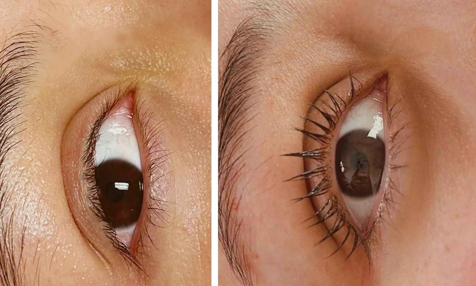 Choice of Eyelash & Brows Services and Packages