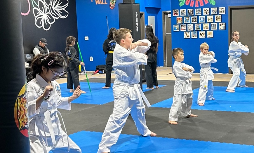 Image 3: 4 weeks of karate classes for one or two children