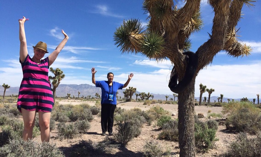 Image 18: Bus Tour from Las Vegas with Adventure Photo Tours | Show Option