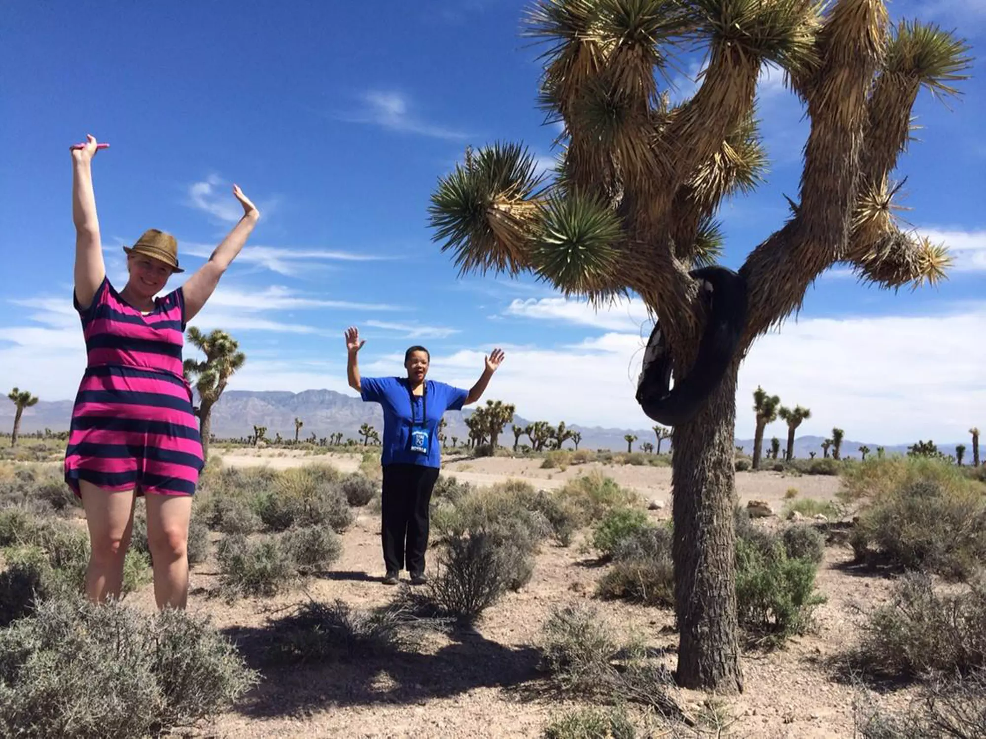 Bus Tour from Las Vegas with Adventure Photo Tours | Show Option