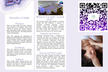 2 Hour- Crystal Bed W/ Sound Healing 1 HR. & 1 HR. Reiki Session, 1.5 HR Raindrop Detox, & More  (Up to 30% Off) - Second Medium
