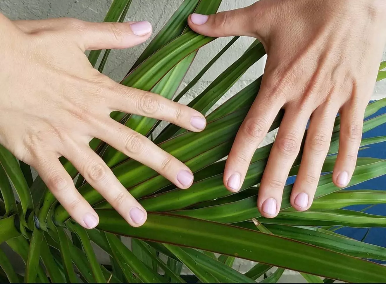 Deluxe Spa Mani or Pedi, Mani-Pedi or Deluxe Gel Mani with Deluxe Pedi or Deluxe Powder Mani ( Up to 30% Off )