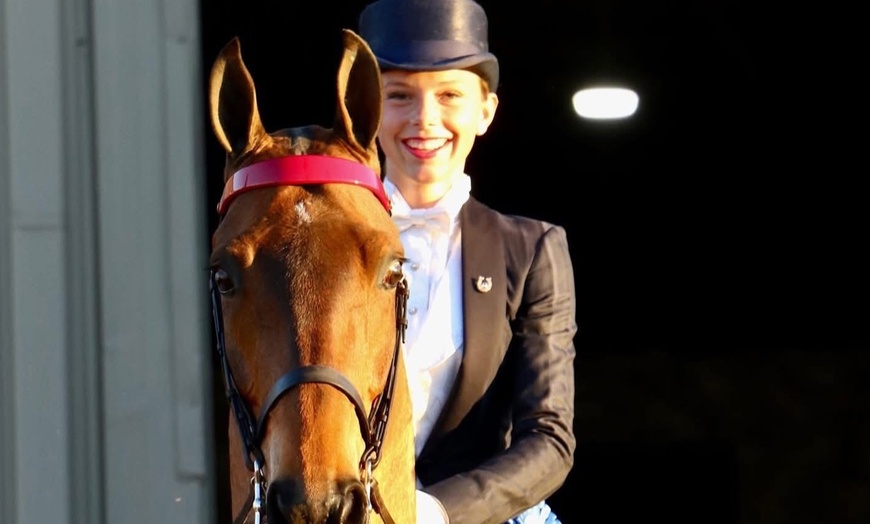 Image 2: Enjoy Horse Back Riding Introductory Lesson - Great for Beginners!