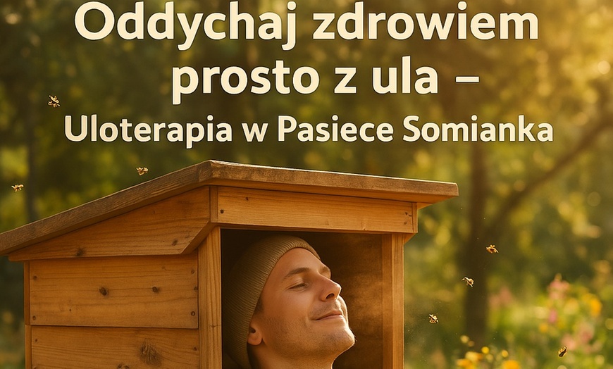 Image 1: Regeneracja i relaks: Inhalacja powietrzem ulowym dla 1-6 osób