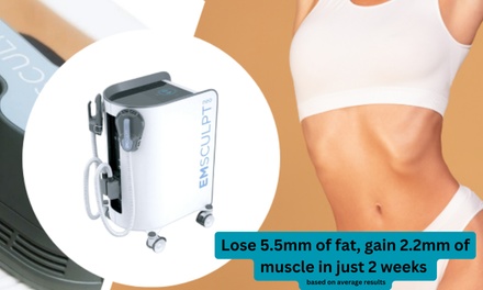 One session Em Sculpt-Abdomen or Buttocks or Quads or Hamstrings- 30 mins - Silhouette Lab