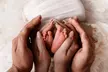Celebrate your Child with In-Home Newborn Baby Photoshoot at Willow & Thistle Photography - 80% Off - Second Medium