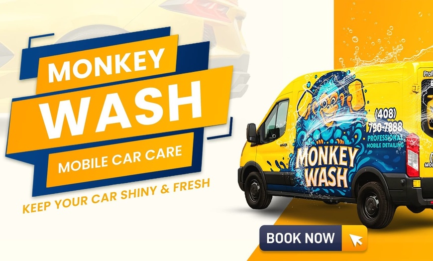 Image 3: Interior and Exterior Detail for Car, Pickup, SUV or Van