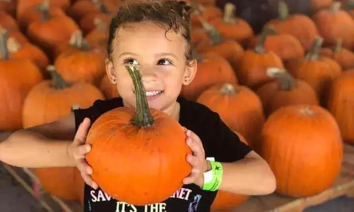 Country Christmas at HarvestMoon Fun Farm - Holiday Family Fun