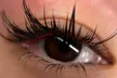 Up to 44% Off on Eyelash Extensions at shiny LAshes - Second Medium