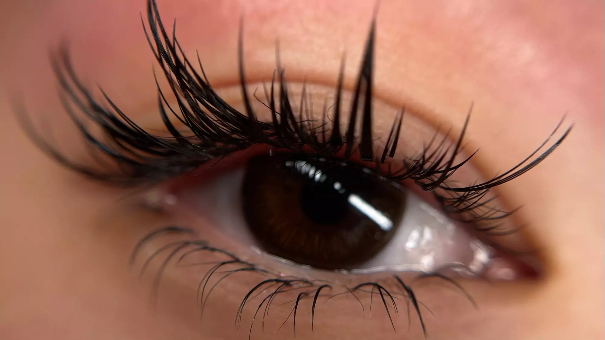 Full Set of Eyelash Extension, Eyelash Lift, or Eyebrow Lamination