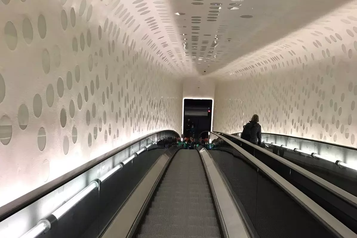 Elphi Plaza Führung- oder Speicherstadt & HafenCity-Führung