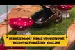 Postaw na rozwój kreatywności i wyobraźni swojego dziecka w centrum rozrywki Baza Odkrywców (do -25%) - Image 5