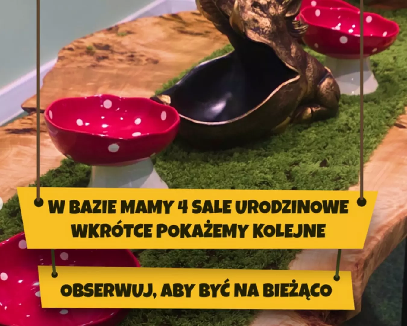 Bilety wstępu dla dzieci do centrum rozrywki Luigi Park