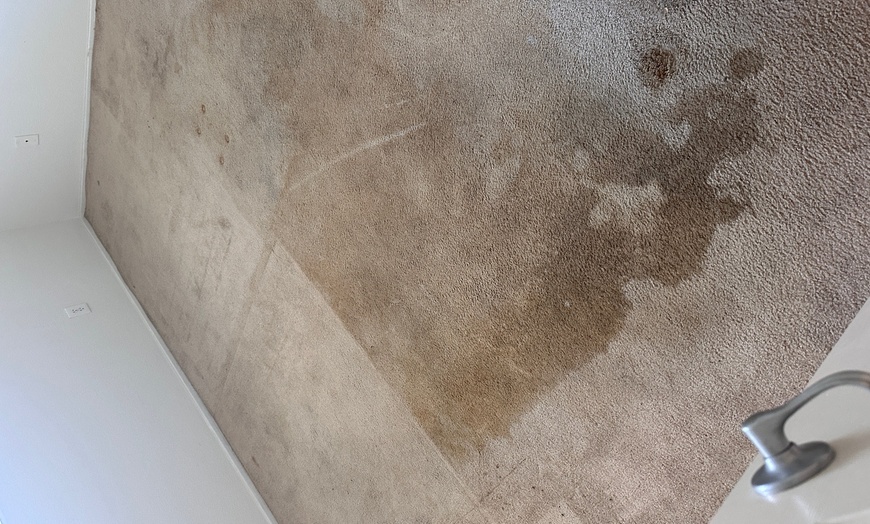Image 4: Up to 33% Off on Carpet Cleaning at Clean Kings LLC