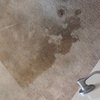 Image 4: Up to 33% Off on Carpet Cleaning at Clean Kings LLC