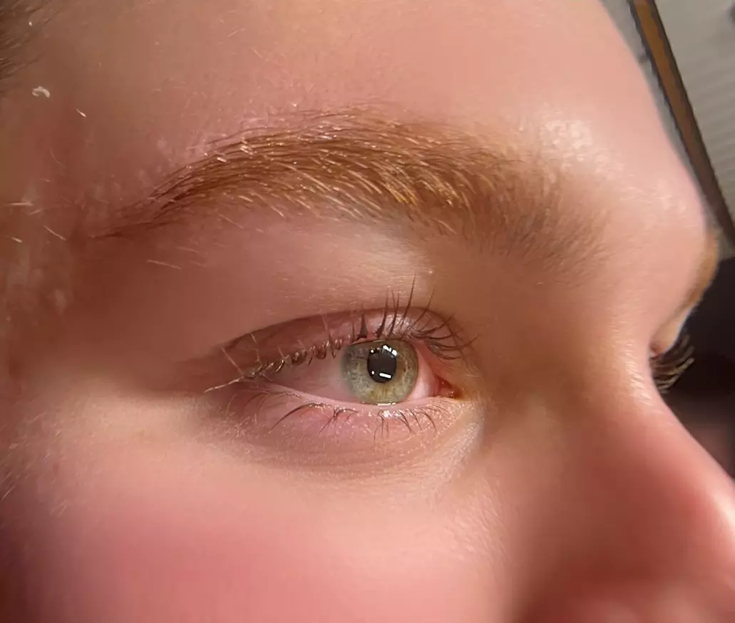 Brow Makeover or Lash & Brow Makeover, 4 Brow Shaping Packages & More