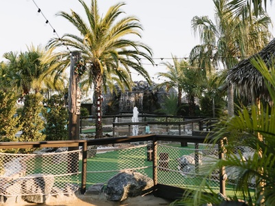 1 Person: 18-Hole Round of Mini-Golf + Choice of Small Soft Drink or Snow Cone - Grove Mini Golf - Wesley Chapel
