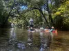Guided Paddle or Kayak Tour to Breathtaking Cypress Springs; Float, Swim & Nature w/ All Gear & Picnic Lunch Included
