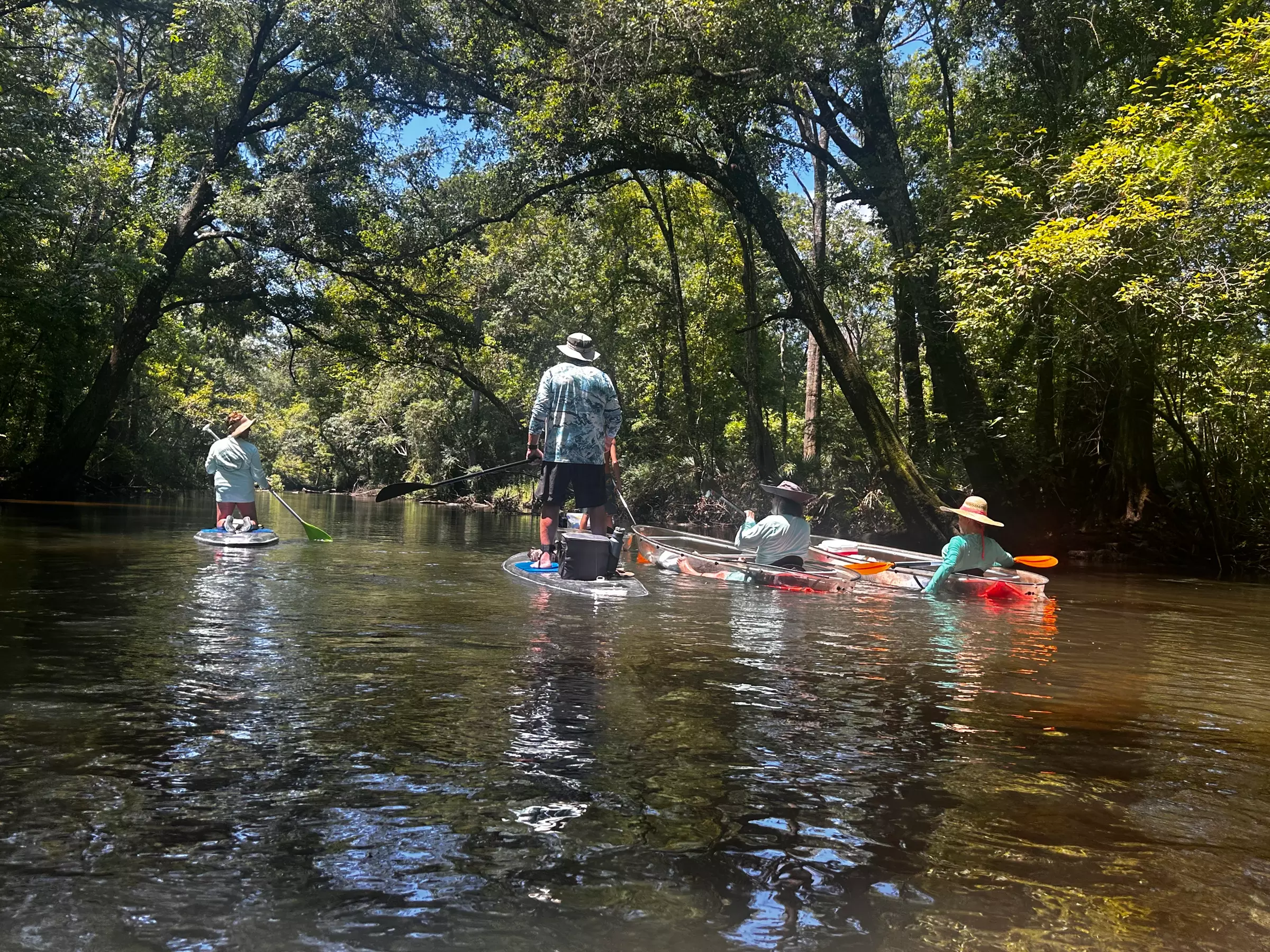 Paddle or Kayak to Breathtaking Cypress Springs, Float, Swim & Nature!